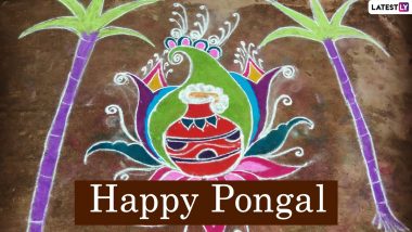 New Pongal Rangoli Designs 2021 & Muggulu Patterns: Decorate Your Home With Panai & Kaavi Kolam With Dots and Pot Rangoli Ideas For Sankranthi to Celebrate the Harvest Festival
