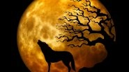 Wolf Moon 2021 on January 28: How and When to Watch the First Full Moon of the Year? Here&rsquo;s Everything You Should Know