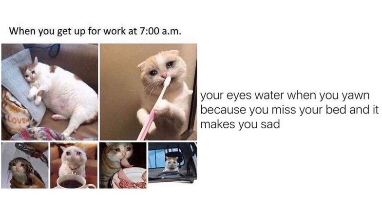 Festival of Sleep Day 2021 Funny Memes & Jokes: Hilarious Posts Only Sleepyheads Will Relate To!