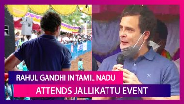 Rahul Gandhi Attends Jallikattu In Tamil Nadu To Mark Pongal 2021, Says He Will Fight For Tamilians