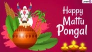 Mattu Pongal 2021 Wishes, Quotes & Greetings: Share Thai Pongal Messages, HD Images, Facebook Pics and GIFs on the Third Day of the Harvest Festival