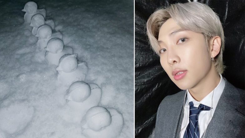 Joonie’s Snow Ducklings Go Viral, BTS ARMY is Delighted! 