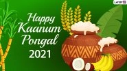 Kaanum Pongal 2021 Wishes, Messages and HD Images: WhatsApp Stickers, Telegram Greetings, Pongal Photos and GIFs to Celebrate the Tamil Harvest Festival