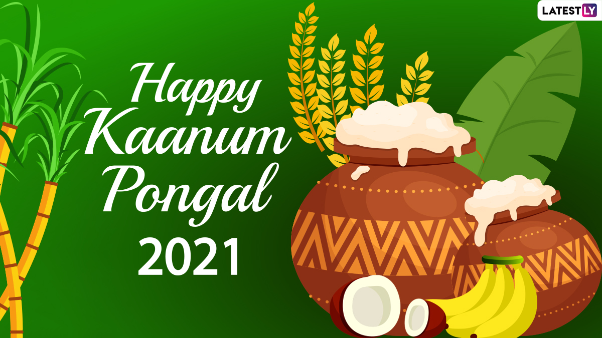 Kaanum Pongal 2021 Wishes, Messages and HD Images: WhatsApp ...
