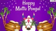 Mattu Pongal 2021 Date, Shubh Muhurat & Significance: From Legends to Wishes & Greetings, Know More About the Third Day of Thai Ponga