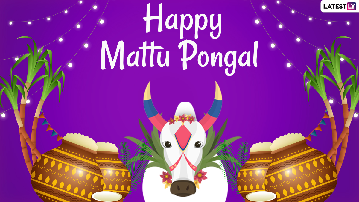 Mattu Pongal 2021 Date, Shubh Muhurat & Significance: From Legends ...