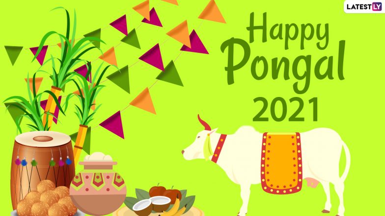Pongal 2021 Images & HD Wallpapers For Free Download Online: WhatsApp Stickers, Happy Thai Pongal Facebook Messages and Greetings to Celebrate the Festival