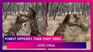 Video Of Two Tigers Fighting Shared By A Forest Officer Goes Viral, He Says, &lsquo;Clash Of Titans. Only From India&rsquo;