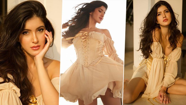Shanaya Kapoor's Corset Dress Deserves to Find a Place In Your Wardrobe (View Pics)
