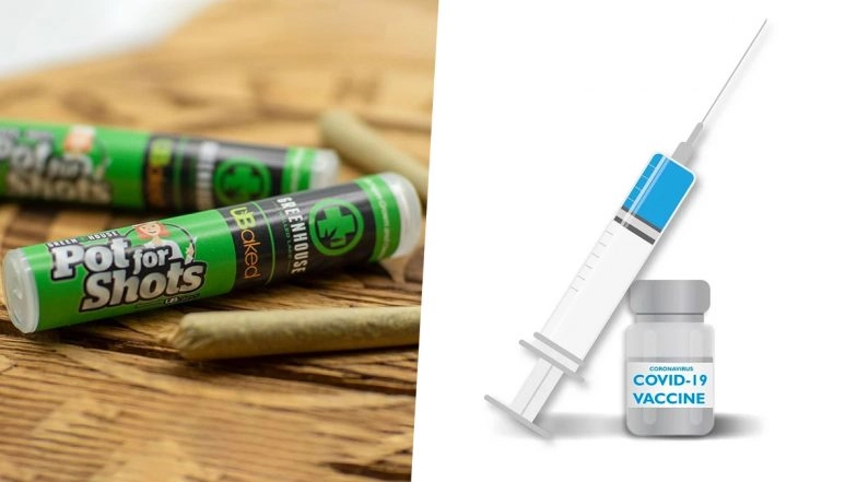 Free Marijuana for Taking COVID-19 Vaccine: Washington State Offers Free Joint To Encourage Vaccination