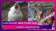Bird Flu Toll In Maharashtra: 4,351 Poultry Birds Found Dead Across The State, Highest Number Since January 8