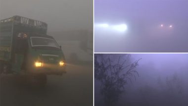 Delhi Fog: Residents Wake Up to Foggy Morning on New Year's Day, Visibility Reduced to Near Zero in Some Parts