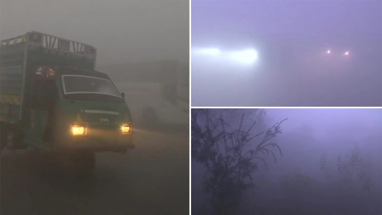 Delhi Fog: Residents Wake Up to Foggy Morning on New Year's Day, Visibility Reduced to Near Zero in Some Parts