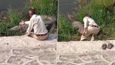 Gujarat: 50-Year-Old Drunk Man Risks His Life to 'Assure Safety' to Crocodile; Arrested After Video Went Viral