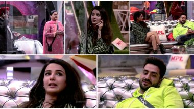 Bigg Boss 14: Aly Goni Says 'Mujhe Nai Rehna Abhi' After Jasmin Bhasin's Parents Ask Her To Focus On Her Own Game And Leave Emotions Behind (Watch Video)