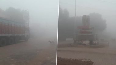 Thick Layer of Fog Engulfs Northern States of Punjab, Haryana, Uttar Pradesh (Watch Video & Pics)