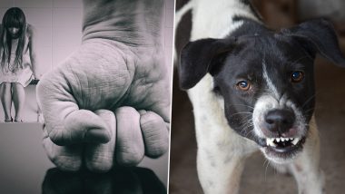Pet Saves Woman From Abusive Boyfriend by Biting Him Hard, Other Times When Dogs Helped Women From Similar Abuse Situations