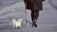 Woman in Canada 'Walks' Her Husband on Leash, Says COVID-19 Curfew Rules Allowed Dog Walking, Gets Fined