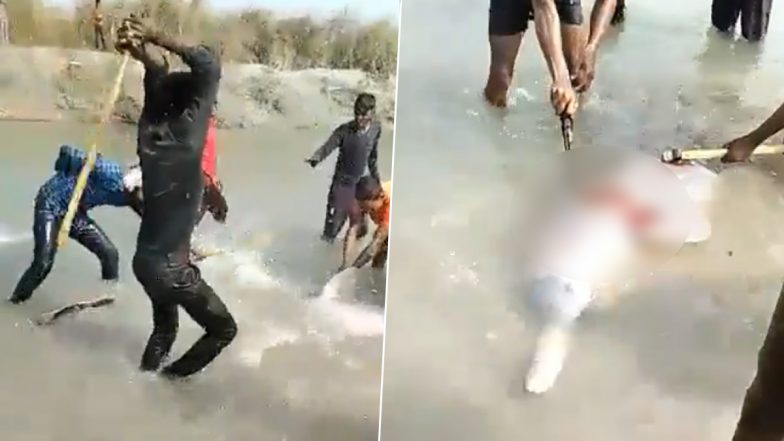 Shocking! Gigantic Dolphin Beaten to Death by Locals in UP's Pratapgarh, 3 Arrested (Video)