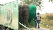Elephant &rsquo;Emma' Fed Alcohol Forcefully by Owners To Keep Her Under Control for Begging, Gets Rescued