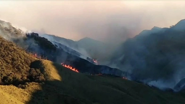Dzukou Valley Wildfire: IAF to Continue Firefighting Operations in Kohima As Fresh Fire Erupts