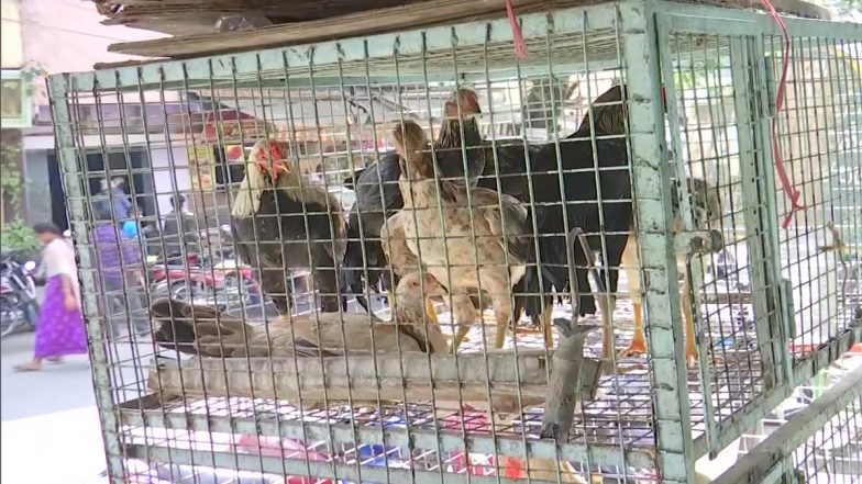 Bird Flu Scare in Karnataka: Sale of Chicken Falls in Bengaluru as People Shun Poultry Meat