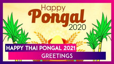 Happy Thai Pongal 2021 WhatsApp Greetings, Photo Messages and Quotes to Send to Family & Friends