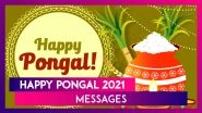 Happy Pongal 2021: Wishes, WhatsApp Photo Messages, Status and Images to Wish Family and Friends
