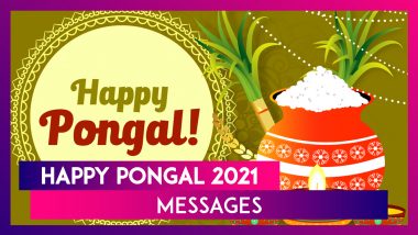 Happy Pongal 2021: Wishes, WhatsApp Photo Messages, Status and Images to Wish Family and Friends