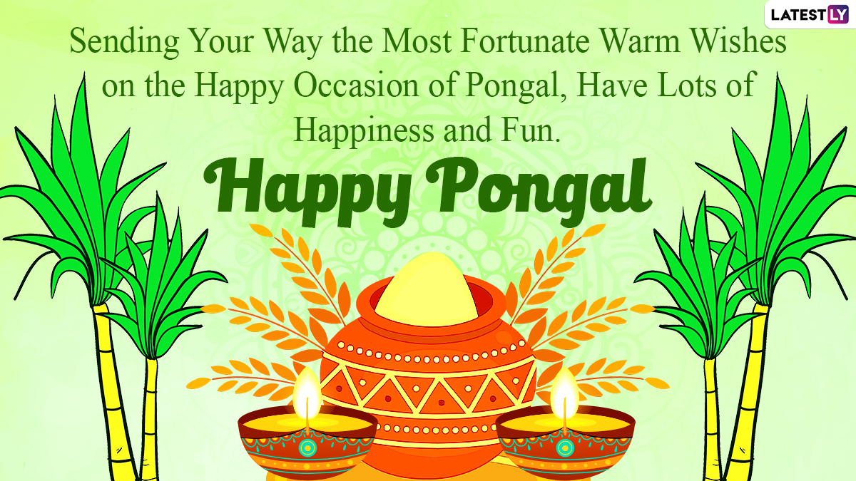 Happy Pongal 2021 Greetings & HD Images: WhatsApp Stickers, Photo ...