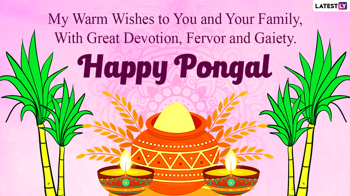 Happy Pongal 2021 Greetings & HD Images: WhatsApp Stickers, Photo ...