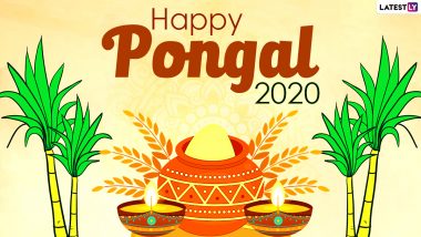 Happy Pongal 2021 Greetings & HD Images: WhatsApp Stickers, Photo Messages, GIFs, Status and Images to Wish Family and Friends
