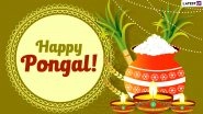Happy Pongal 2021 Wishes & HD Images: WhatsApp Stickers, GIF Greetings, Facebook Messages & SMS to Celebrate Thai Pongal in Tamil Nadu