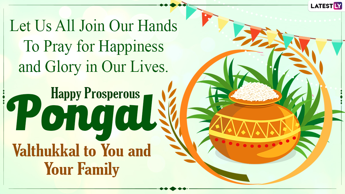 Happy Pongal 2021 Wishes: WhatsApp Messages, Stickers, GIF ...