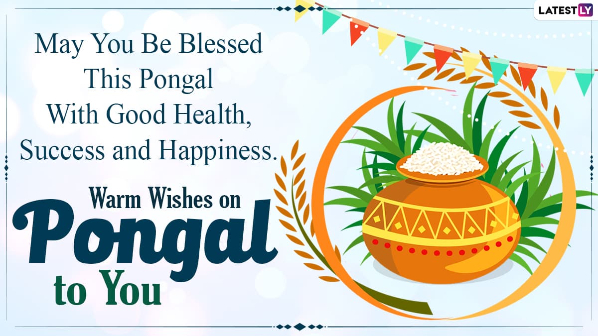 Happy Pongal 2021 Wishes: WhatsApp Messages, Stickers, GIF ...