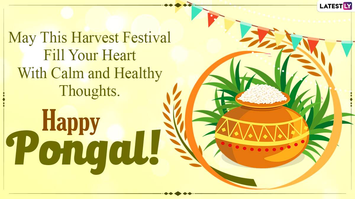 Happy Pongal 2021 Wishes: WhatsApp Messages, Stickers, GIF ...