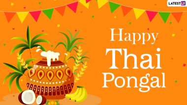 Thai Pongal 2021 Date, Shubh Muhurat & Traditions: From Bhogi to Kaanum Pongal, Know More About Each Day of the Harvest Festival as You Wish 'Iniya Pongal Vazthukkal' to Your Loved Ones