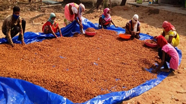 Jharkhand: Forest Produce Becoming Means of Livelihood for Rural Population of State