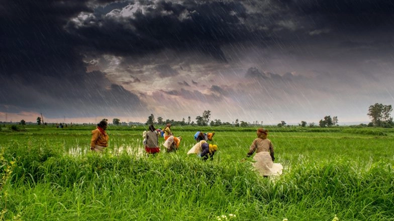 Union Budget 2021 Expectations: Here is What to Expect from the Rural Budget Amid Ongoing Farmers' Unrest