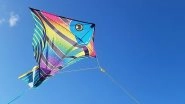 Makar Sankranti 2021 Kite Flying: Which Manja Thread to Use to Fly Kites? Watch DIY Video to Make it At Home and Celebrate Uttarayan