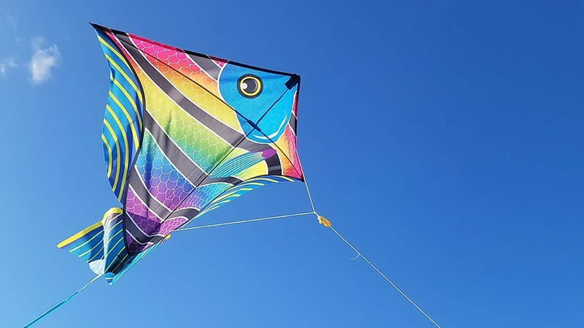 Makar Sankranti 2021 Kite Flying: Which Manja Thread to Use to Fly Kites?  Watch DIY Video to Make it At Home and Celebrate Uttarayan | 🙏🏻 LatestLY