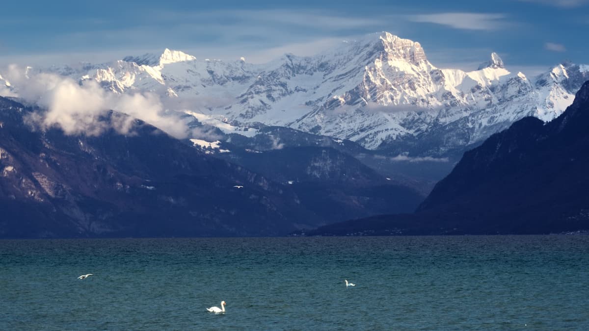 The largest lake in Central Europe, Lake Geneva is a crescent shaped deep lake in Switzerland overlooked by the Swiss Alps. The largest lake in Central Europe, Lake Geneva is a crescent shaped deep lake in Switzerland overlooked by the Swiss Alps.
