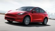 Tesla Model Y Built-in China Electric Car Goes on Sale