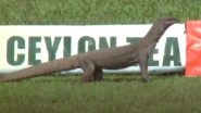 Monitor Lizard Makes Appearance at Galle During Day 3 of SL vs ENG 2nd Test, ICC Shares Cheeky Post (See Pic)
