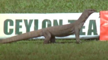 Monitor Lizard Makes Appearance at Galle During Day 3 of SL vs ENG 2nd Test, ICC Shares Cheeky Post (See Pic)