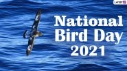 National Bird Day 2021: Did You Know Albatrosses Can Sleep While Flying at 25 Mph? Know 17 Crazy Facts About Birds