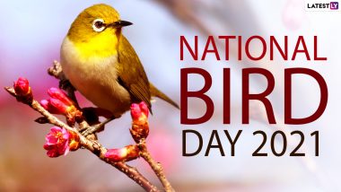 National Bird Day 2021 Date and Significance: How to Celebrate Bird Day?  Everything You Should Know About the Day Dedicated to Birds | 🙏🏻 LatestLY