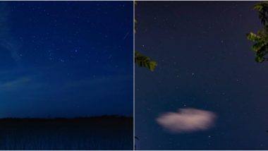 Quadrantid Meteor Shower 2021: Beautiful Photos of Bright Light Showering Down in the Night Sky Goes Viral