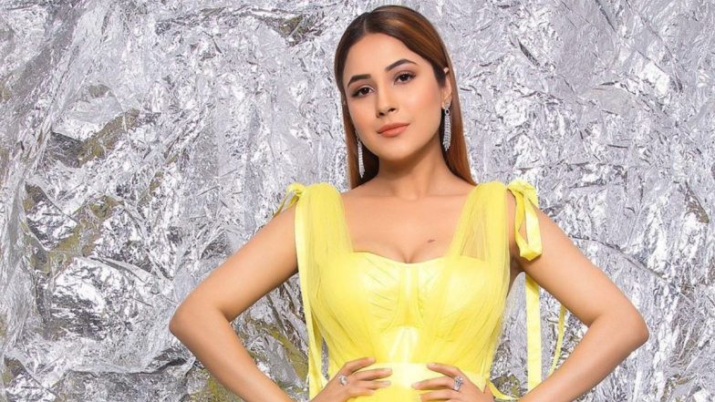 Shehnaaz Gill Believes She Won’t Get Work If She Becomes ‘Chubby’ Again! 