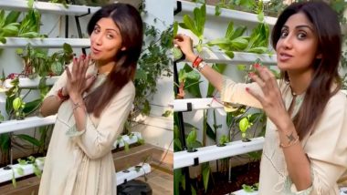 Shilpa Shetty Kundra Offers Fans a Glimpse of Her Hydroponic Farm (Watch Video)